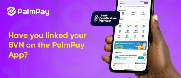 How to link your BVN, NIN on PalmPay App